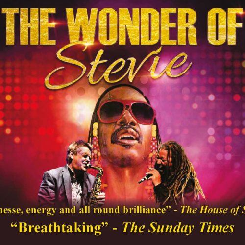 thumbnail of Wonder Of Stevie – Brochure IMAGE